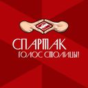 Аватарка канала @hc_spartak