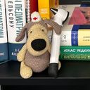 Аватарка канала @DrButriy