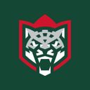 Аватарка канала @hc_akbars