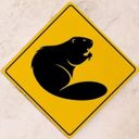 Аватарка канала @vorchanie_bobra