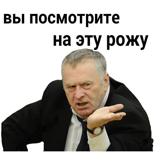 Стикер «Владимир Жириновский-11»