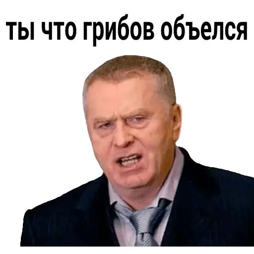 Стикер «Владимир Жириновский-12»