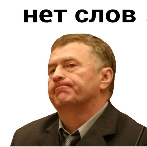 Стикер «Владимир Жириновский-3»