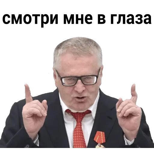 Стикер «Владимир Жириновский-5»
