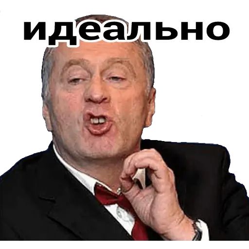 Стикер «Владимир Жириновский-8»