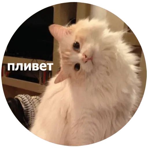 Стикер «Кусь-1»
