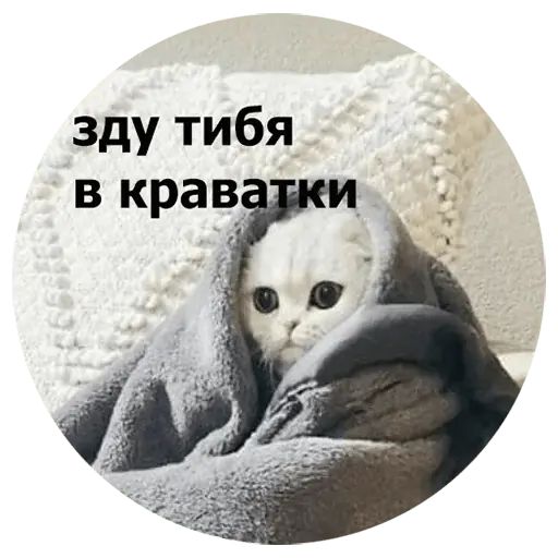 Стикер «Кусь-11»