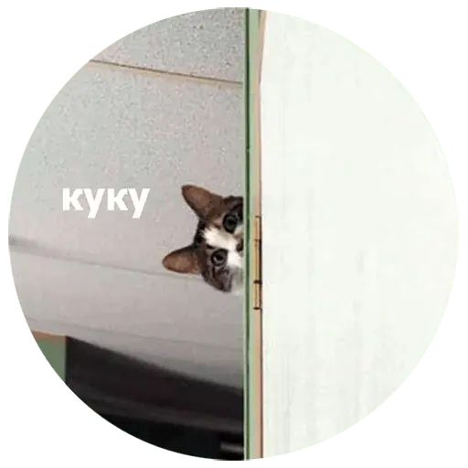 Стикер «Кусь-2»