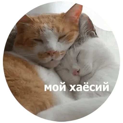 Стикер «Кусь-6»