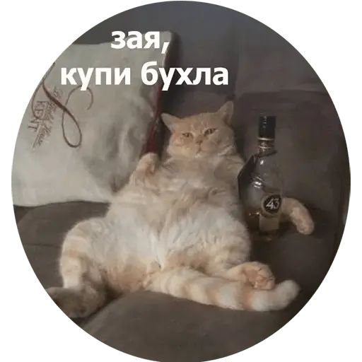 Стикер «Кусь-7»