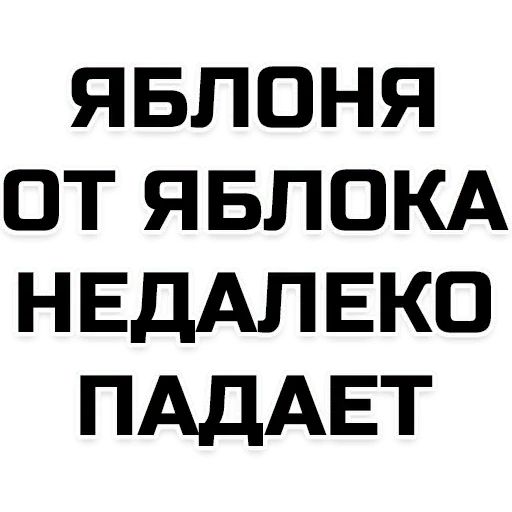 Стикер «Лучшие фразы-4»