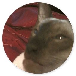 Сломанная кошка