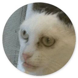 Сломанная кошка