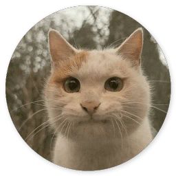 Сломанная кошка