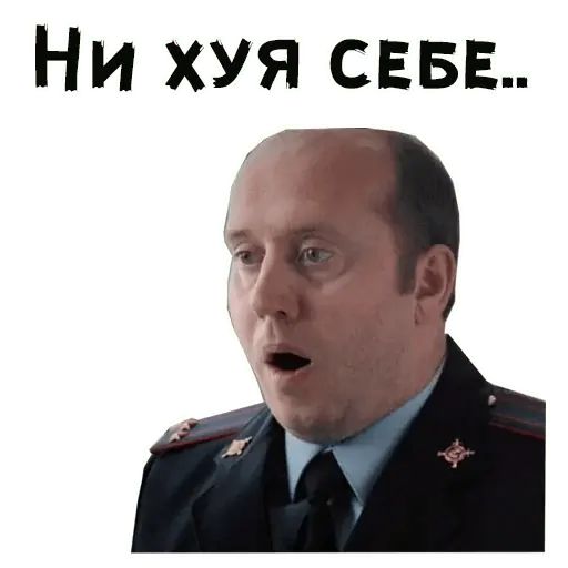 Стикер «Полицейский с Рублёвки-8»