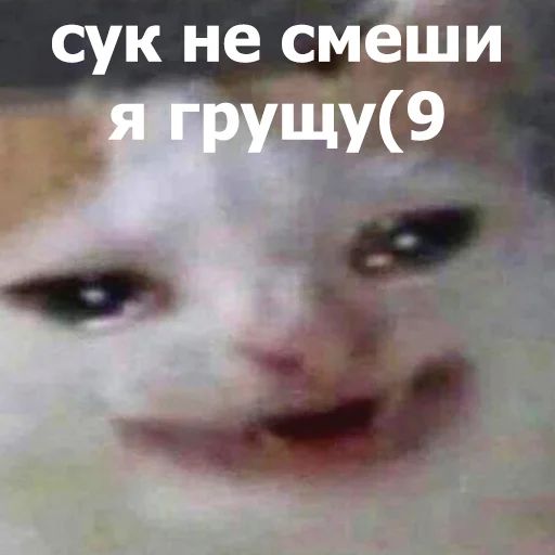 Стикер «Забавные животные 4-2»