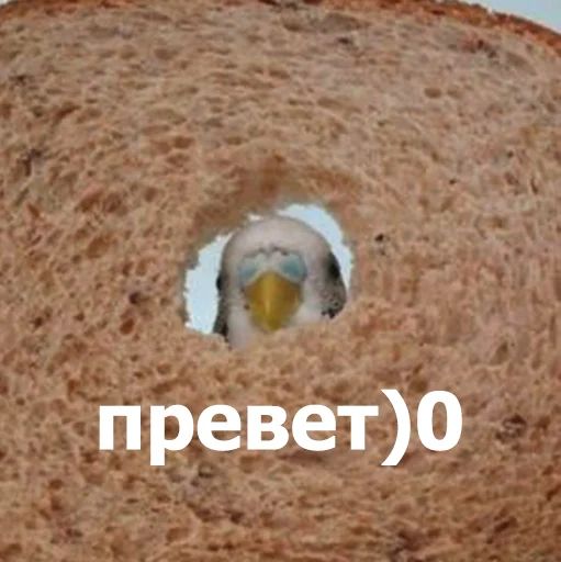 Стикер «Забавные животные 4-6»