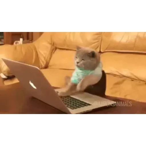 Стикер «Видео мемы-1»