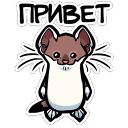 Набор стикеров «Горностайчик Гера»